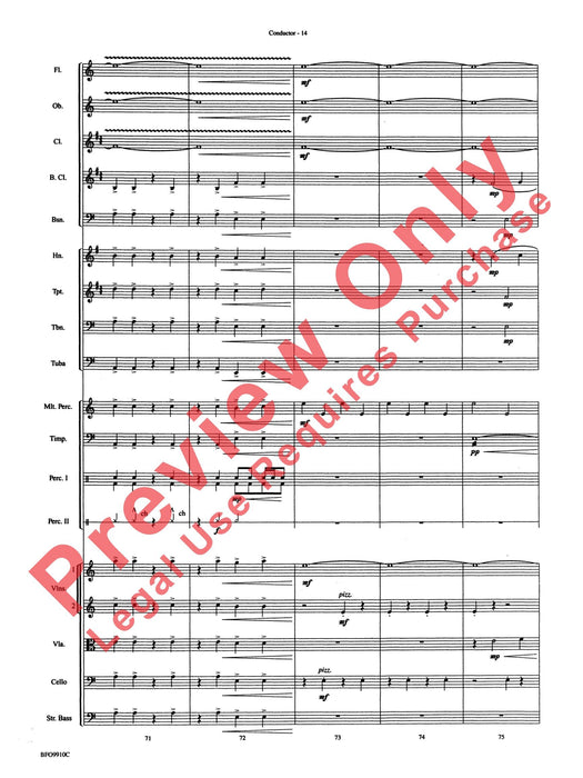 The Sound and the Fury | 小雅音樂 Hsiaoya Music