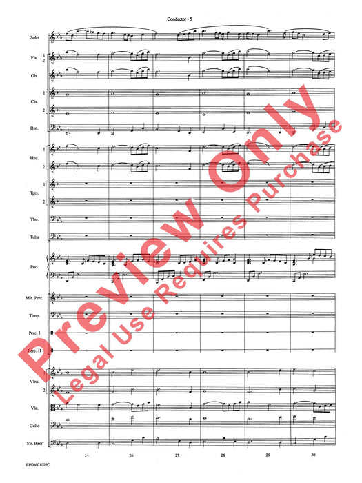 In a Gentle Rain (Movement II from the Willson Suite) 樂章 組曲 | 小雅音樂 Hsiaoya Music