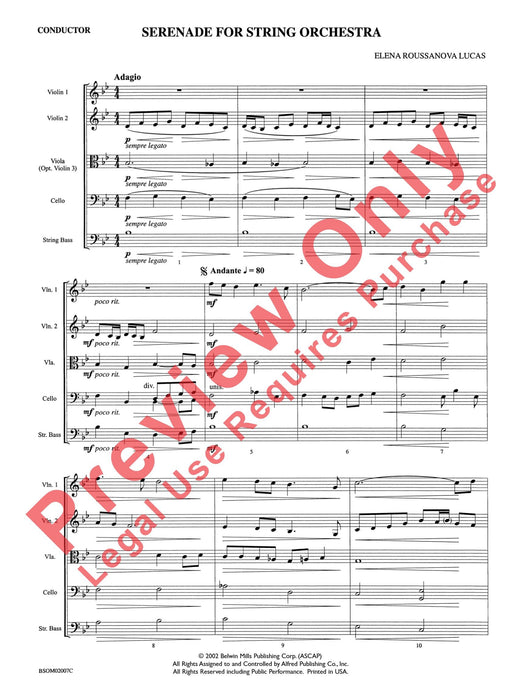 Serenade for String Orchestra 小夜曲 弦樂團 | 小雅音樂 Hsiaoya Music