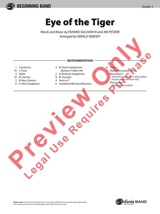 Eye of the Tiger | 小雅音樂 Hsiaoya Music