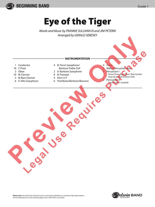 Eye of the Tiger | 小雅音樂 Hsiaoya Music