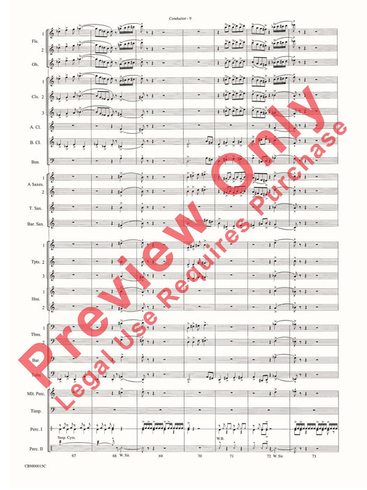 Cartoon Carnival A Medley for Concert Band 組合曲 室內管樂團 | 小雅音樂 Hsiaoya Music