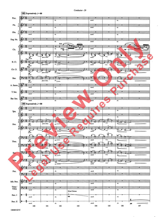 Harry Potter Symphonic Suite 交響組曲 總譜 | 小雅音樂 Hsiaoya Music