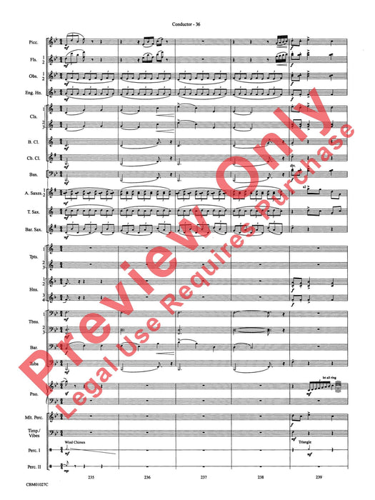 Harry Potter Symphonic Suite 交響組曲 總譜 | 小雅音樂 Hsiaoya Music