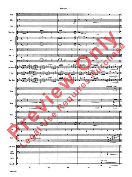 Harry Potter Symphonic Suite 交響組曲 | 小雅音樂 Hsiaoya Music