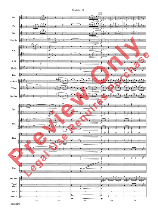 Harry Potter Symphonic Suite 交響組曲 | 小雅音樂 Hsiaoya Music