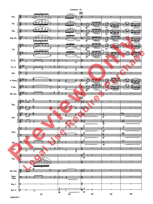 Harry Potter Symphonic Suite 交響組曲 | 小雅音樂 Hsiaoya Music