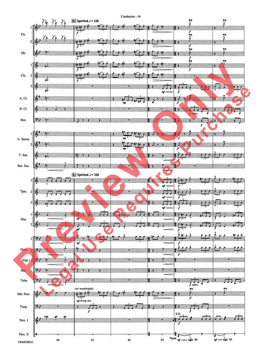 Harry's Wondrous World (from Harry Potter and the Chamber of Secrets) | 小雅音樂 Hsiaoya Music