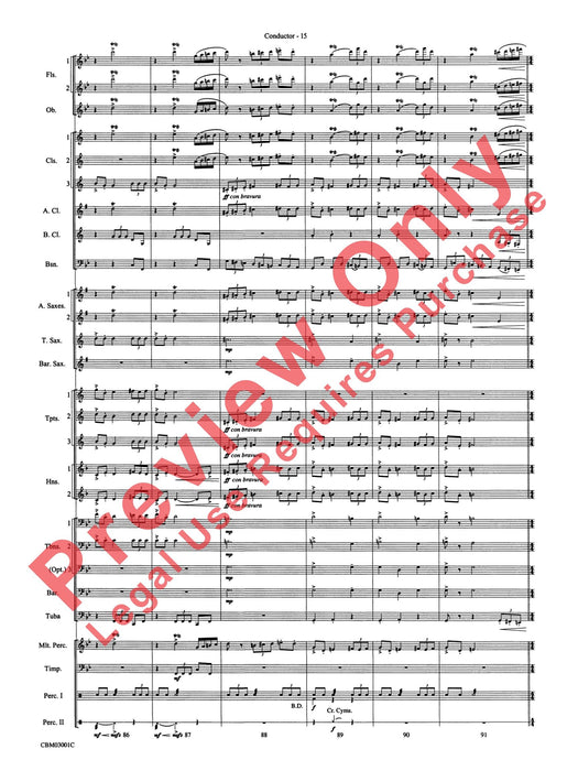 Harry's Wondrous World (from Harry Potter and the Chamber of Secrets) | 小雅音樂 Hsiaoya Music