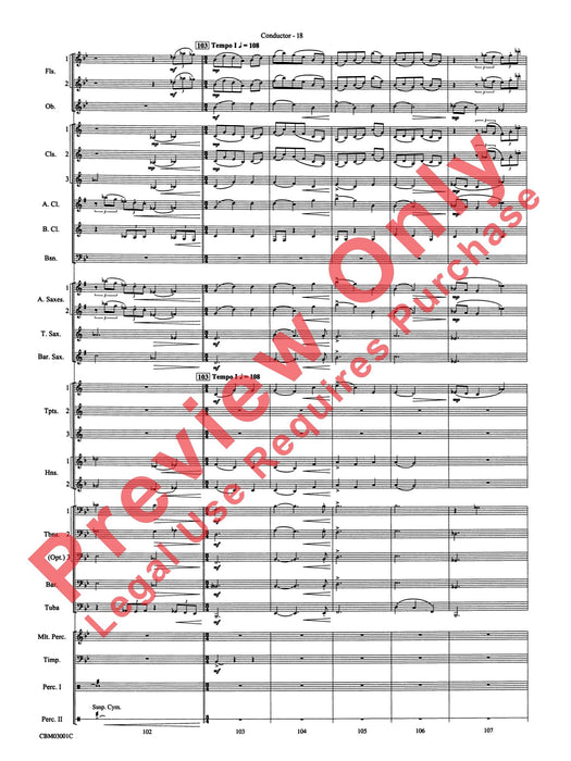 Harry's Wondrous World (from Harry Potter and the Chamber of Secrets) | 小雅音樂 Hsiaoya Music