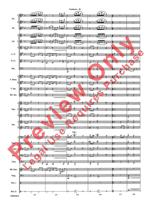 Harry's Wondrous World (from Harry Potter and the Chamber of Secrets) | 小雅音樂 Hsiaoya Music