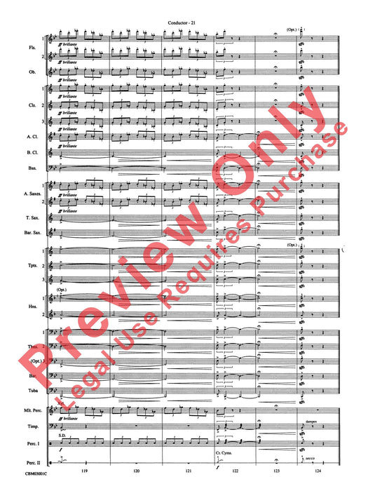 Harry's Wondrous World (from Harry Potter and the Chamber of Secrets) | 小雅音樂 Hsiaoya Music