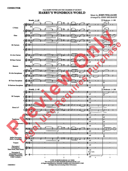 Harry's Wondrous World (from Harry Potter and the Chamber of Secrets) | 小雅音樂 Hsiaoya Music