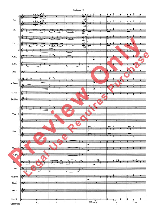 Harry's Wondrous World (from Harry Potter and the Chamber of Secrets) | 小雅音樂 Hsiaoya Music