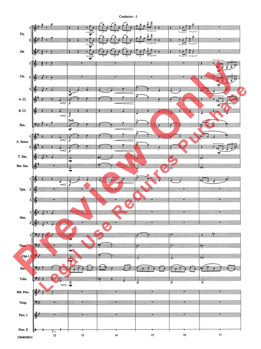 Harry's Wondrous World (from Harry Potter and the Chamber of Secrets) | 小雅音樂 Hsiaoya Music