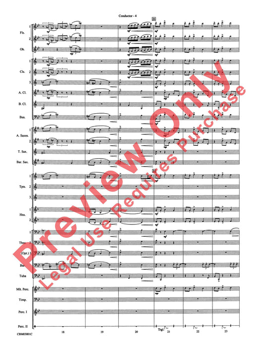 Harry's Wondrous World (from Harry Potter and the Chamber of Secrets) | 小雅音樂 Hsiaoya Music