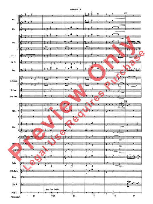 Harry's Wondrous World (from Harry Potter and the Chamber of Secrets) | 小雅音樂 Hsiaoya Music