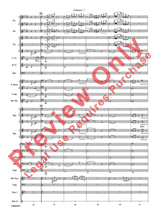 Harry's Wondrous World (from Harry Potter and the Chamber of Secrets) | 小雅音樂 Hsiaoya Music