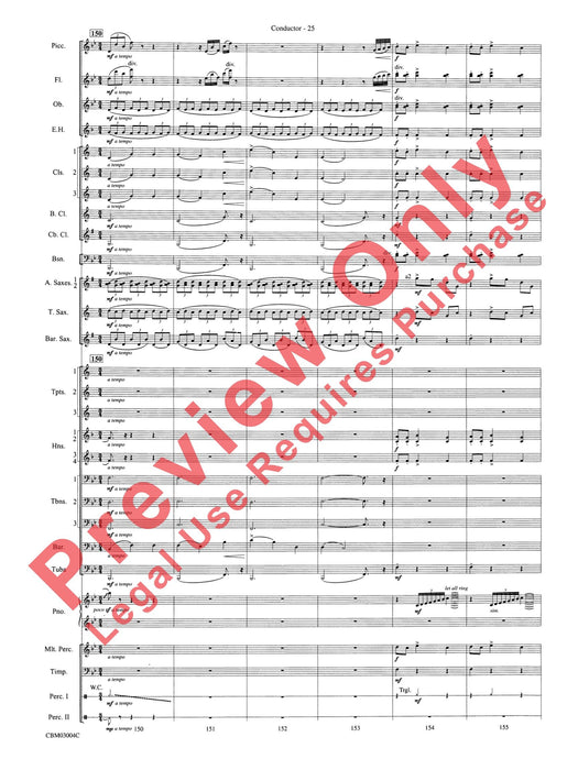 Harry Potter and the Chamber of Secrets, Symphonic Suite from 交響組曲 總譜 | 小雅音樂 Hsiaoya Music