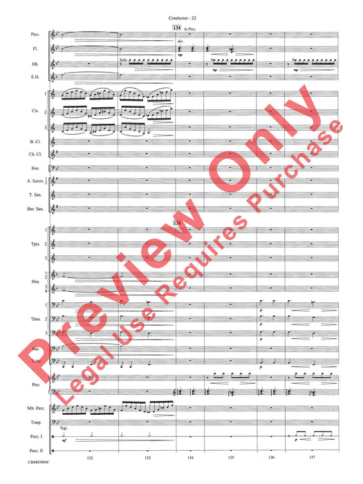 Harry Potter and the Chamber of Secrets, Symphonic Suite from 交響組曲 | 小雅音樂 Hsiaoya Music