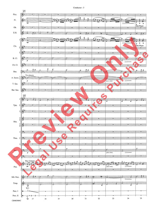 Harry Potter and the Chamber of Secrets, Symphonic Suite from 交響組曲 | 小雅音樂 Hsiaoya Music