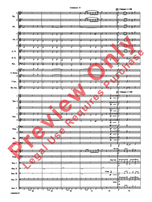 Happy Birthday Around the World 生日快樂歌 | 小雅音樂 Hsiaoya Music