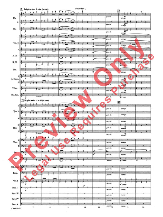 Happy Birthday Around the World 生日快樂歌 | 小雅音樂 Hsiaoya Music