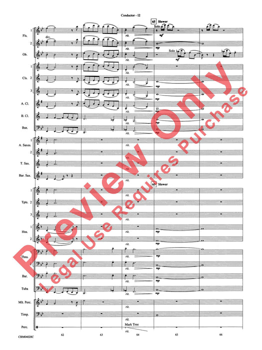 Ever Braver, Ever Stronger (An American Elegy) 悲歌 | 小雅音樂 Hsiaoya Music