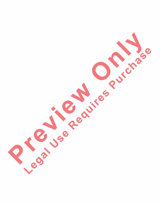 Harrison's Dream | 小雅音樂 Hsiaoya Music