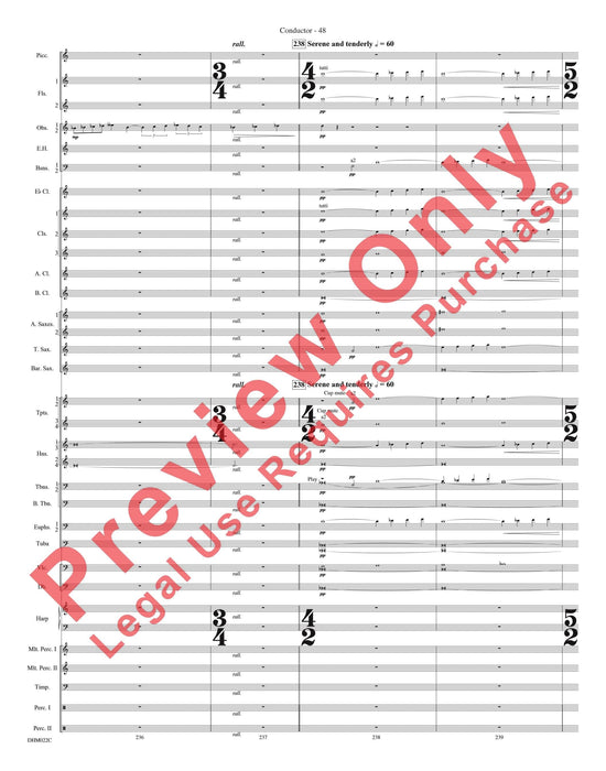 Harrison's Dream | 小雅音樂 Hsiaoya Music