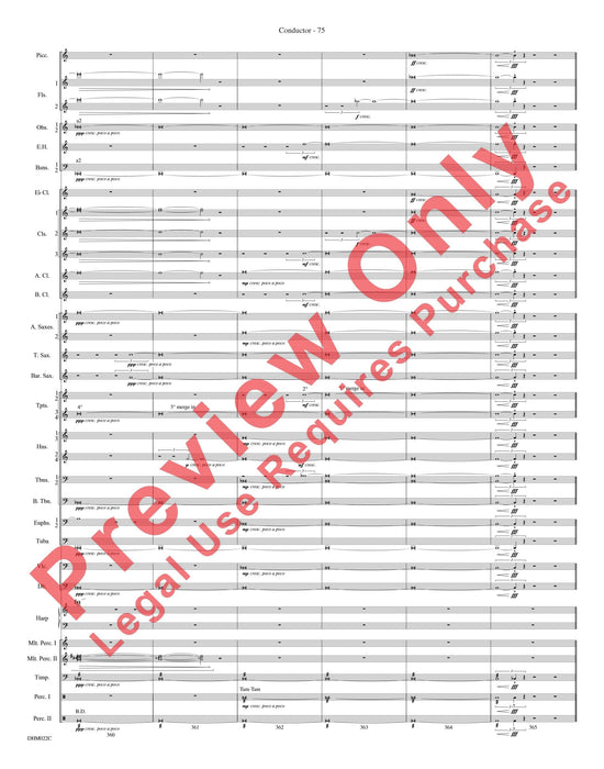 Harrison's Dream | 小雅音樂 Hsiaoya Music