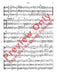 Allegro Concertante (from Divertimo No. 1) 莫札特 快板 複協奏曲 | 小雅音樂 Hsiaoya Music