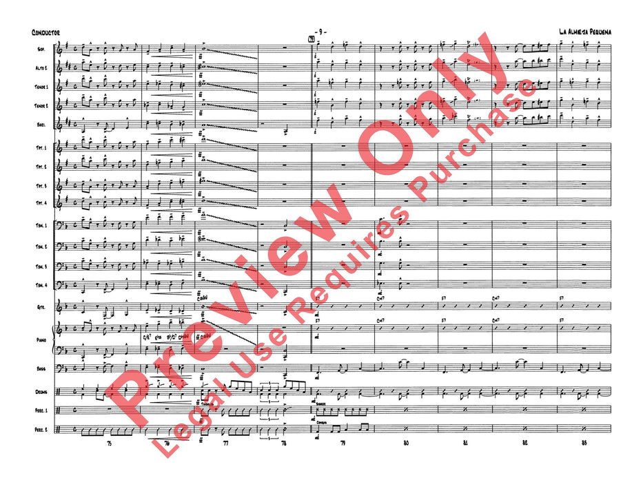 La Almeja Pequeño (The Little Clam) | 小雅音樂 Hsiaoya Music