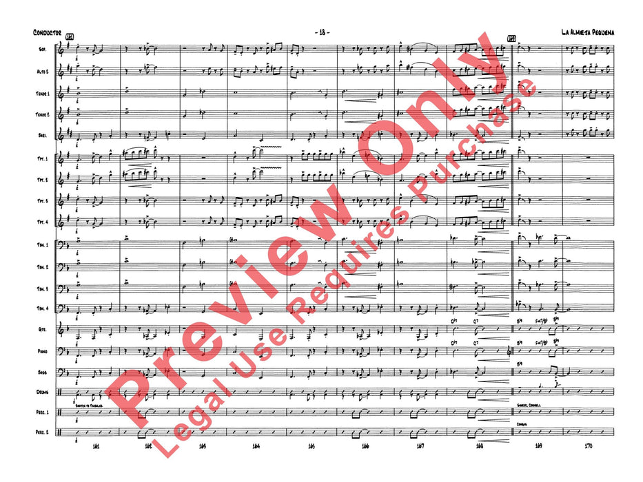 La Almeja Pequeño (The Little Clam) | 小雅音樂 Hsiaoya Music