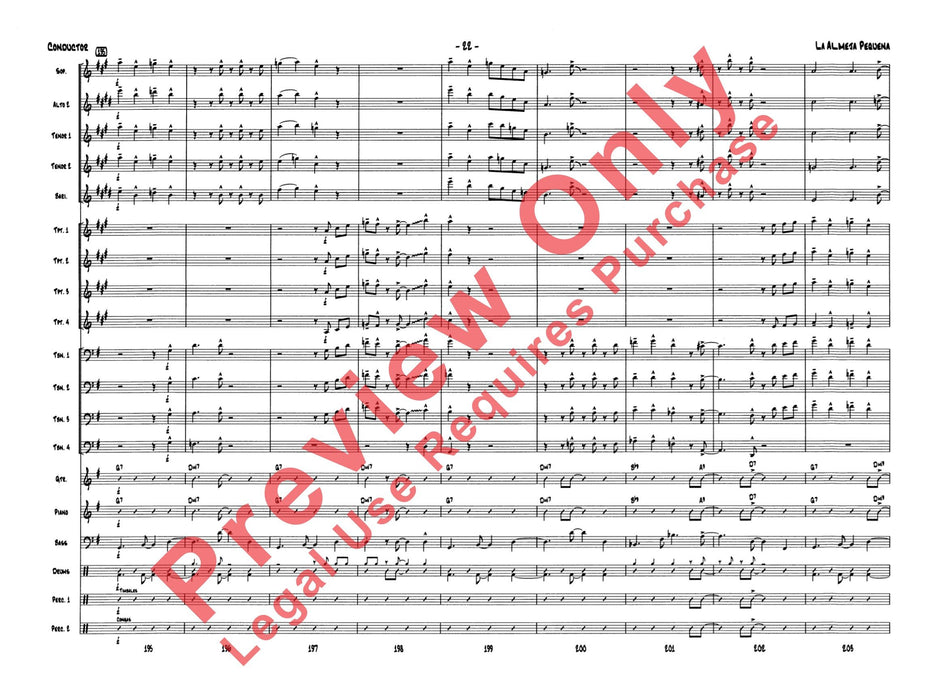 La Almeja Pequeño (The Little Clam) | 小雅音樂 Hsiaoya Music