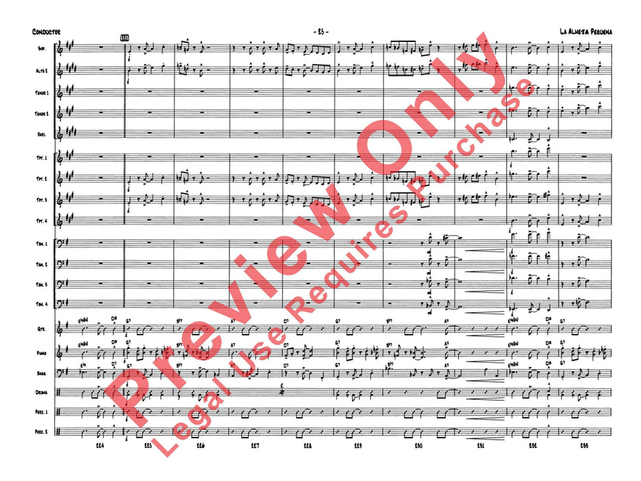 La Almeja Pequeño (The Little Clam) | 小雅音樂 Hsiaoya Music