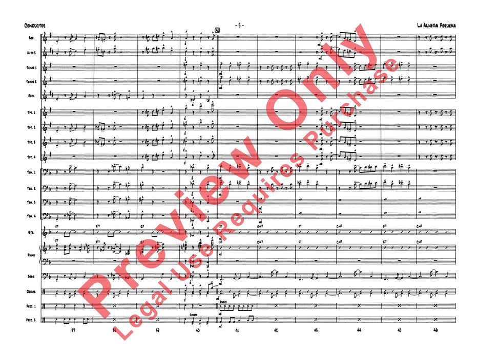 La Almeja Pequeño (The Little Clam) | 小雅音樂 Hsiaoya Music