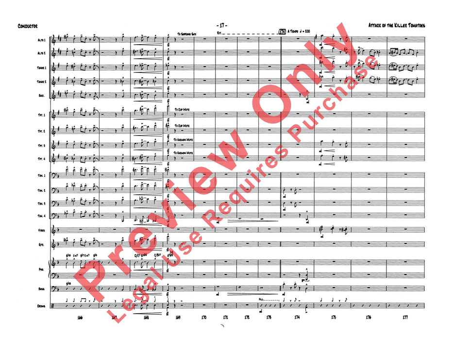 Attack of the Killer Tomatoes | 小雅音樂 Hsiaoya Music