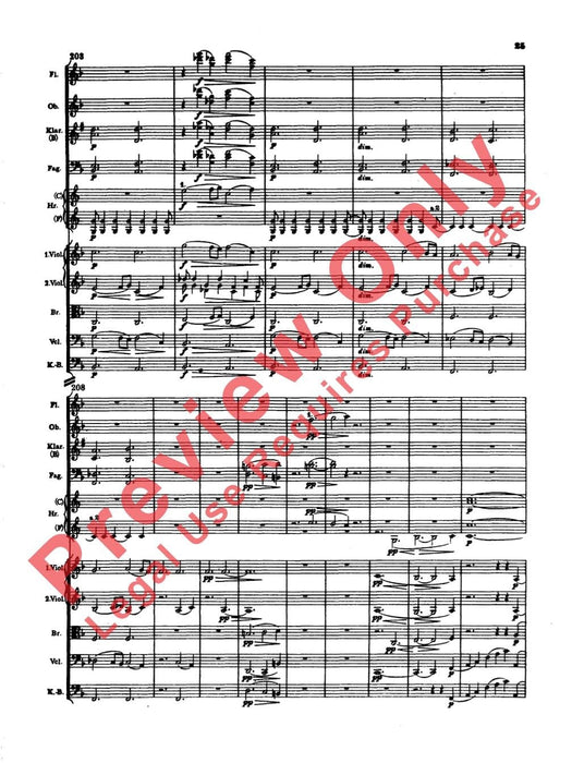 Symphonies Nos. 3 & 4 布拉姆斯 總譜 | 小雅音樂 Hsiaoya Music