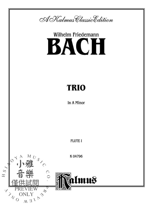Trio in A Minor For Two Flutes and Bass (Cello) 巴赫威廉‧弗利德曼 三重奏 長笛 大提琴 | 小雅音樂 Hsiaoya Music