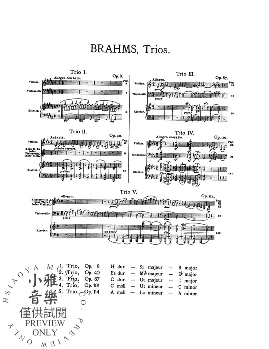 Piano Trio No. 1 in B Major, Opus 8 布拉姆斯 鋼琴 三重奏 作品 | 小雅音樂 Hsiaoya Music