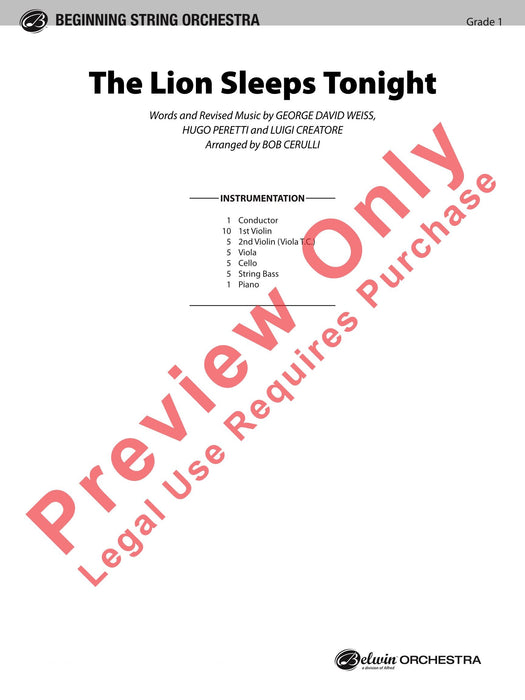 The Lion Sleeps Tonight | 小雅音樂 Hsiaoya Music