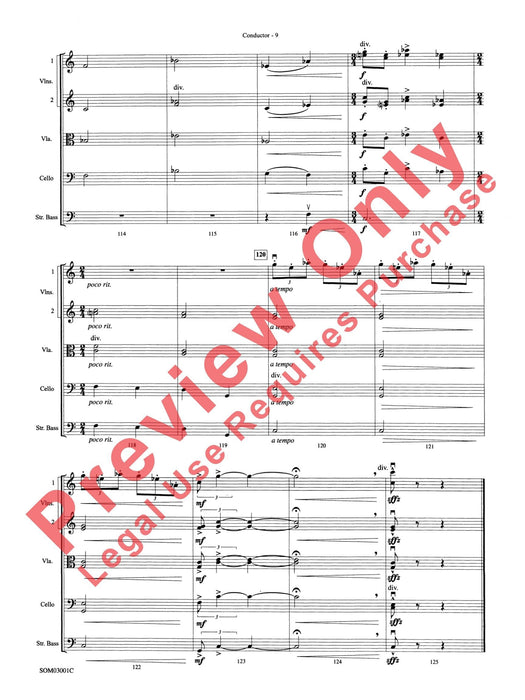 Harry's Wondrous World (from Harry Potter and the Chamber of Secrets) 總譜 | 小雅音樂 Hsiaoya Music