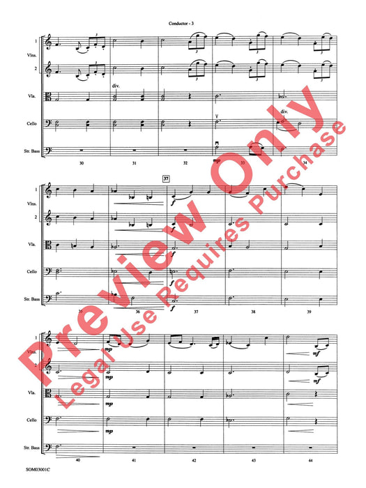 Harry's Wondrous World (from Harry Potter and the Chamber of Secrets) 總譜 | 小雅音樂 Hsiaoya Music