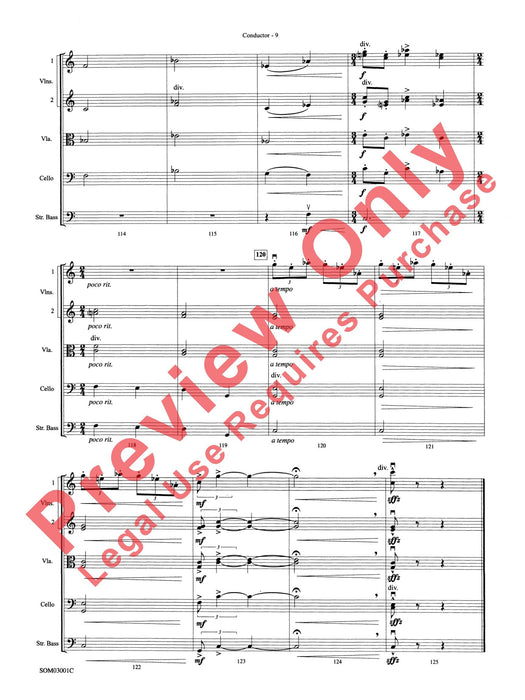 Harry's Wondrous World (from Harry Potter and the Chamber of Secrets) | 小雅音樂 Hsiaoya Music