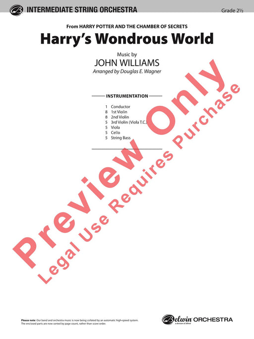 Harry's Wondrous World (from Harry Potter and the Chamber of Secrets) | 小雅音樂 Hsiaoya Music