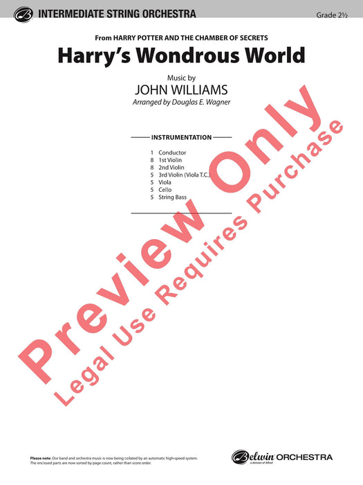 Harry's Wondrous World (from Harry Potter and the Chamber of Secrets) | 小雅音樂 Hsiaoya Music