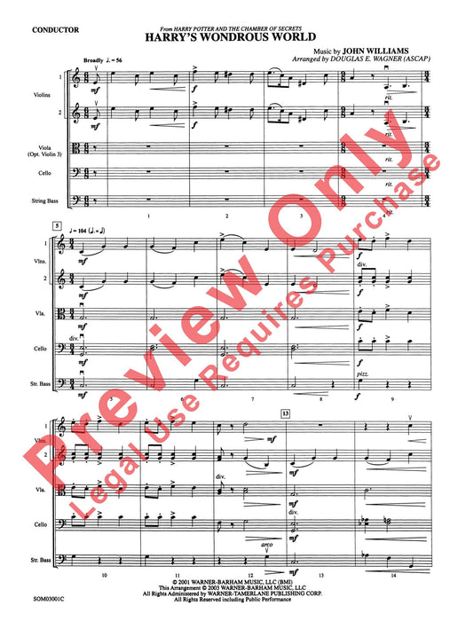 Harry's Wondrous World (from Harry Potter and the Chamber of Secrets) | 小雅音樂 Hsiaoya Music