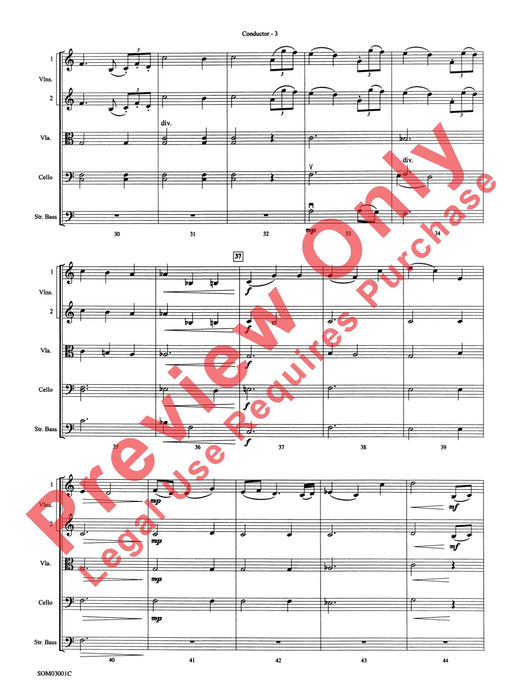 Harry's Wondrous World (from Harry Potter and the Chamber of Secrets) | 小雅音樂 Hsiaoya Music