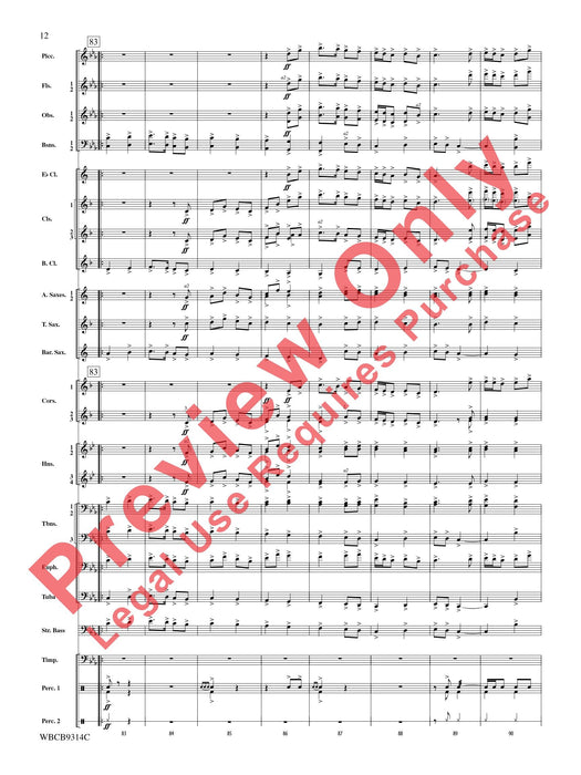 Coat of Arms (Concert March) 音樂會進行曲 | 小雅音樂 Hsiaoya Music